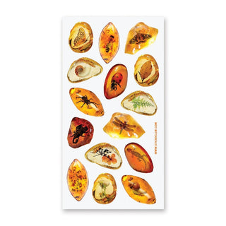 Amber Fossils - Sticker Sheet