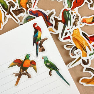 Birds - Stickers-Stash World