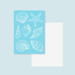 Seashells - Postcard