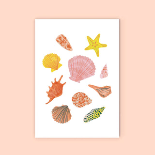 Seashells - Greeting Card