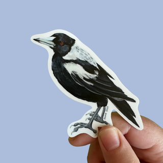 Magpie - Vinyl Sticker