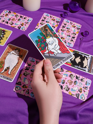 The Original Cat Meme Tarot Deck - Full Deck