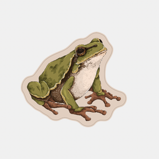 Green Tree Frog - Vinyl Sticker-Vinyl Stickers-Stash World