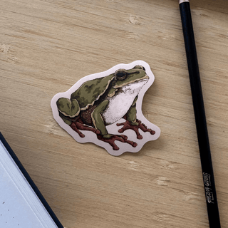 Green Tree Frog - Vinyl Sticker-Vinyl Stickers-Stash World
