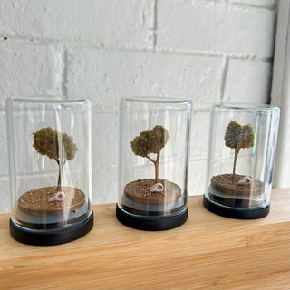 Mini Biome Jar - Jemilla Lea-Desk Accessories-Stash World