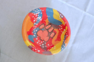 Multicolour Paw - Mini Ceramic Trinket Dish-Desk Accessories-Stash World