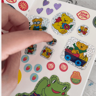 A6 Mini Reusable Sticker Book