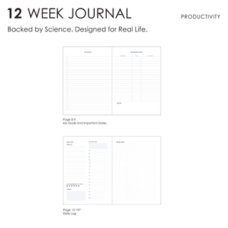 A graphical representation of the contents of a 12 week productivity journal.