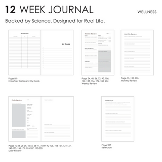 A graphical representation of the contents of a 12 week wellness journal.