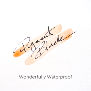 Pigment Black - Fountain Pen Ink-Ink-Stash World