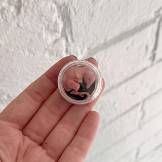 Sculpted Chicken Embryos - Jemilla Lea-Desk Accessories-Stash World