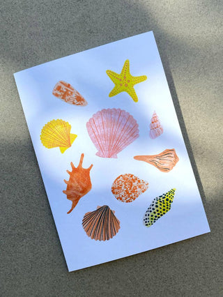 Seashells - Greeting Card-Greeting Cards-Stash World