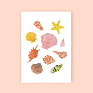 Seashells - Greeting Card-Greeting Cards-Stash World