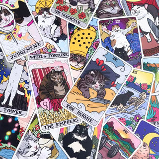The Original Cat Meme Tarot Deck 22 Major Arcana-Stash World