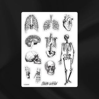 Vintage Anatomy Sticker Sheet-Stash World