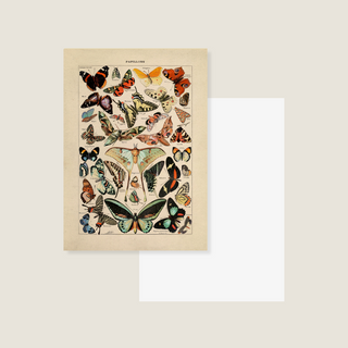 Vintage Butterflies - Postcard-Postcards & Journal Cards-Stash World