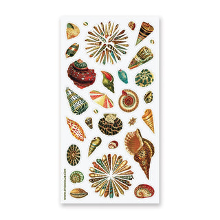 Washi Seashells Sticker Sheet