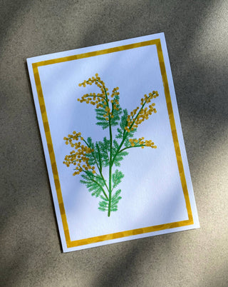Wattle - Greeting Card-Greeting Cards-Stash World