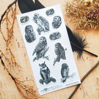 Woodland Watchers - Sticker Sheet