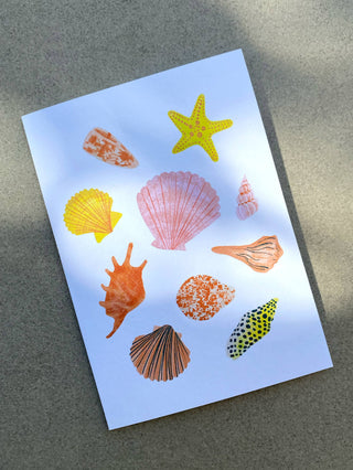 Seashells - Greeting Card