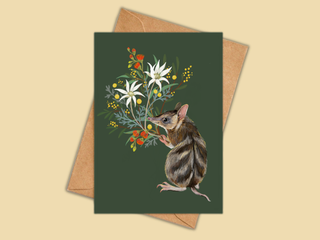 Bandicoot - Greeting Card