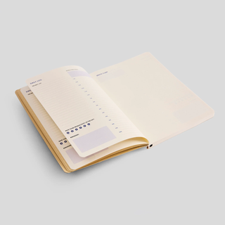 An open journal with off-white, sectioned pages titled 'Daily Log' and 'Brain Dump'