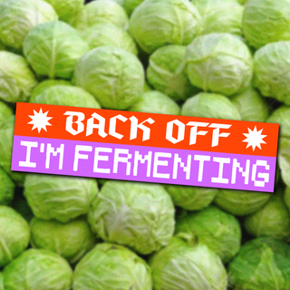 Back Off! I'm Fermenting - Bumper Sticker