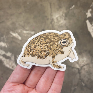 Desert Rain Frog Vinyl Sticker-Stash World