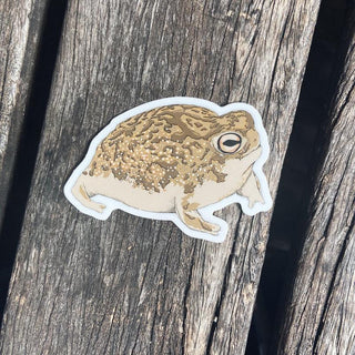 Desert Rain Frog Vinyl Sticker-Stash World