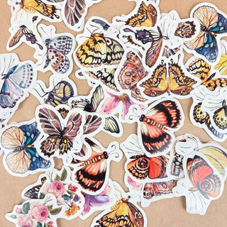 Gorgeous Colourful Butterflies - Stickers-Stash World