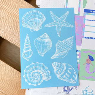 Seashells Postcard - Stash Sticker Club-Stash World